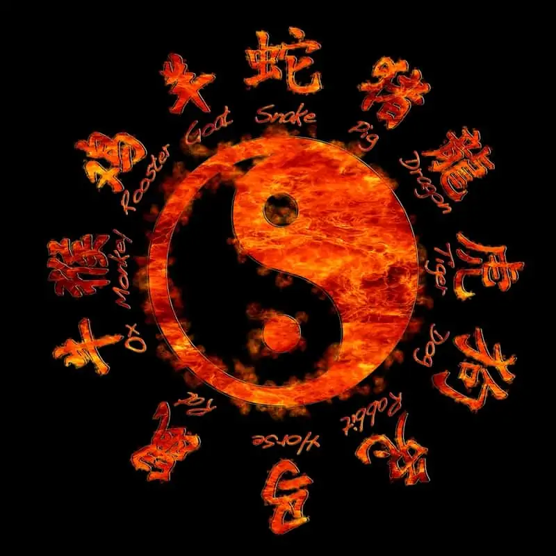 yin yang chinese astrology